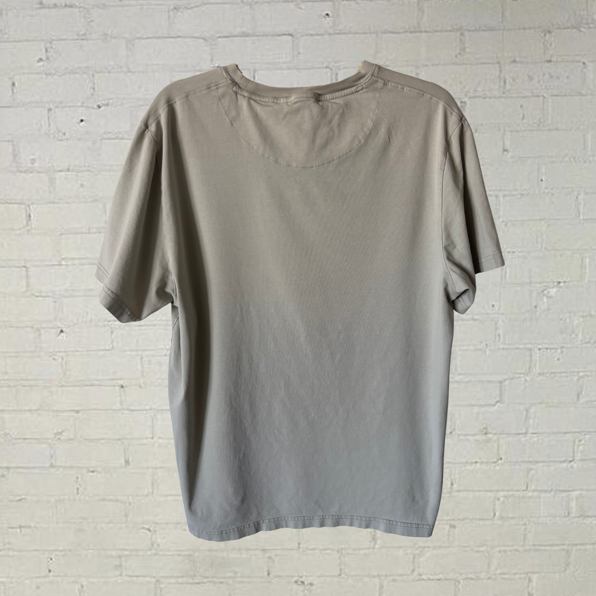 "Sleeping Phoenix" Tee